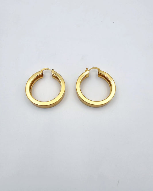 DA 244  EARRING